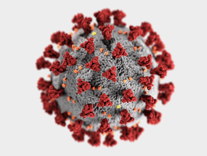 COVID-19 virus