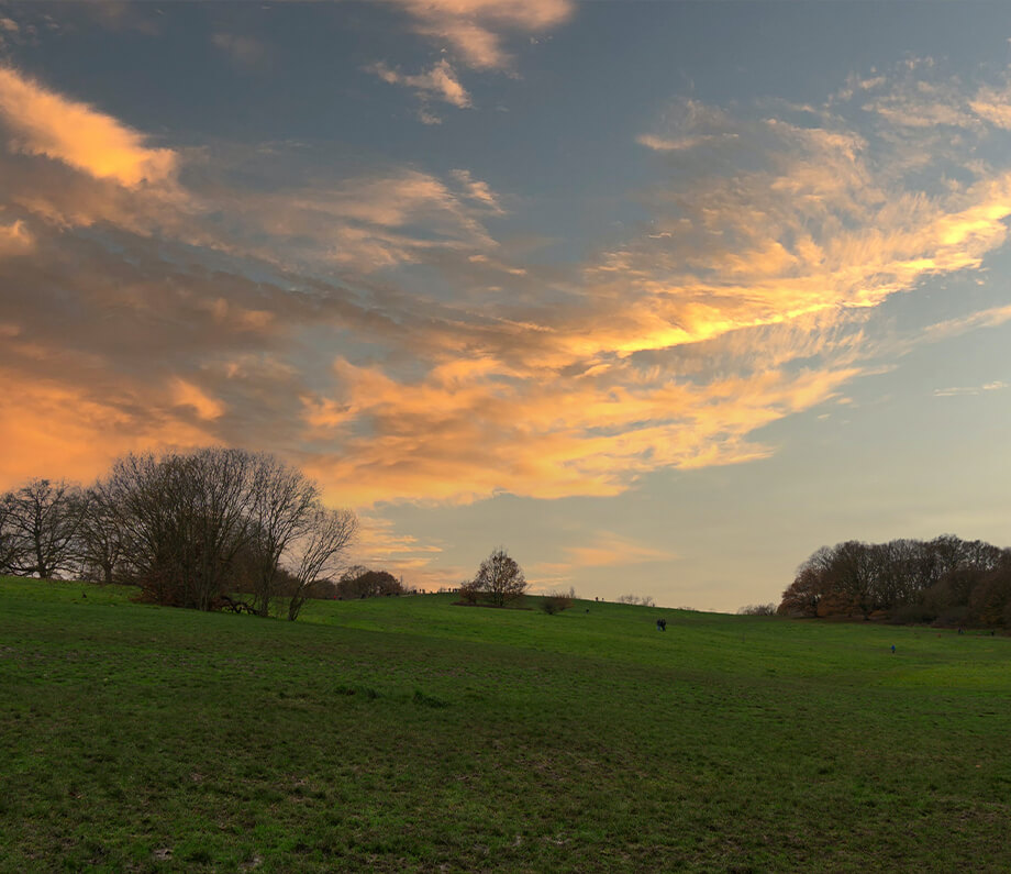 Hampstead Heath